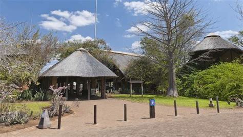 Kruger National Park Mopani Rest Camp Accommodation