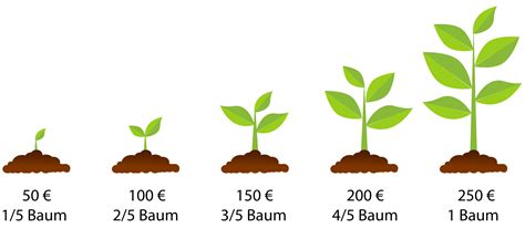 Wie Funktionierts Mein Baum Mein Allershausen