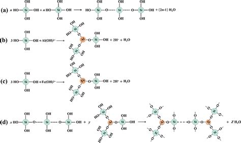 a Polycondensation reaction of Si(OH)4, (b–d) polycondensation reaction... | Download Scientific ...