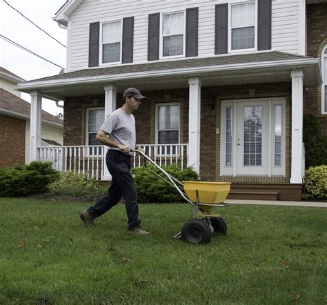 How To Fertilize Your Lawn Willowlee Sod Farms