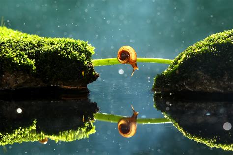 Sunlight Depth Of Field Planet Water Nature Reflection Vehicle Photography Earth Macro