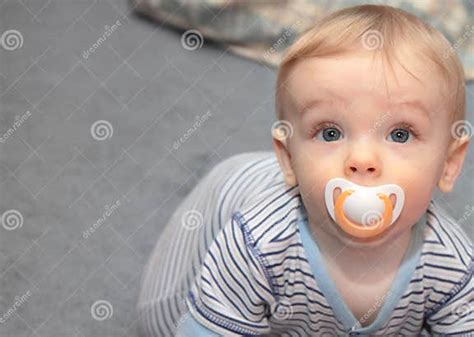 Baby And Binky Stock Photo Image Of Expression Alert 17215490