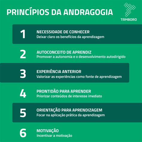 Série Como os adultos aprendem 1 Entenda o que é Andragogia Tamboro