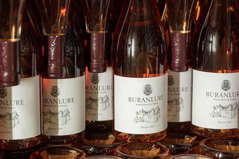 Ch Teau De Buranlure Book Tours Tastings