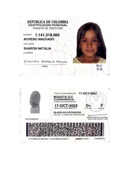 Tarjeta De Identidad Pdf