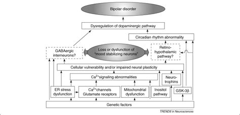 Molecular Neurobiology Of Bipolar Disorder A Disease Of ‘mood