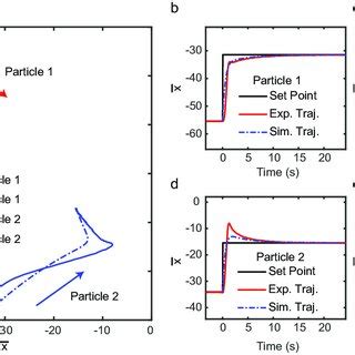 Schematic Representation Of Particle Manipulation Experiments For