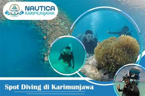 SPOT DIVING DI KARIMUNJAWA FAVORITE SHIP WRECK Paket Liburan