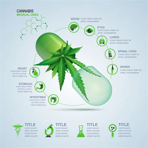 premium vector medical   cannabis  infographic