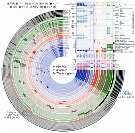 De Novo Genome Assembly