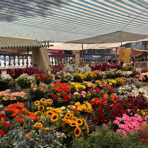 Feira De Orgânicos Da Glória - Feira Da Glória - O que saber antes de ir (ATUALIZADO Julho 2026)