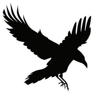 Pin By Alex Skubich On DIY Crow Tattoo Design Raven Art Black Crow