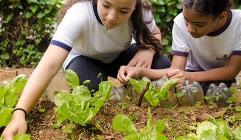 Ações de Educação Ambiental na Rede Municipal de Ensino Secretaria