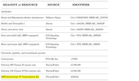 Megashortscript T7 Transcription Kit Thermo Fisher Bioz