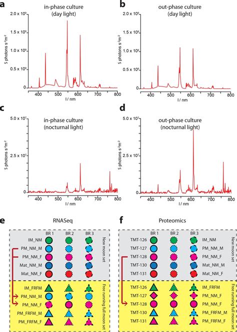 Figures And Data In Combined Transcriptome And Proteome Profiling