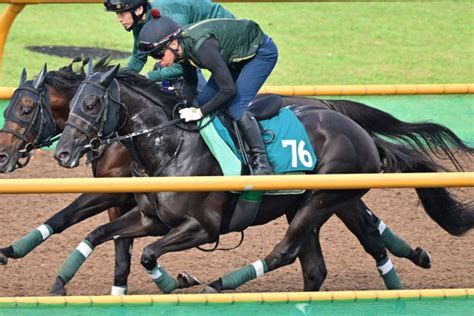 【函館2歳s追い切り】ヤンキーバローズは楽な手応えで併入 上村調教師「力を出せれば十分に勝負になる」東スポ競馬 Goo ニュース