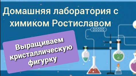 Выращивание кристаллов для самых маленьких | Домашняя лаборатория ...