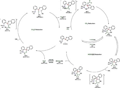 Proposed Mechanistic Pathway Including Important Transition States