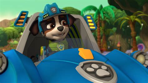 Stream Paw Patrol Nick Jr Shows Available On Philo