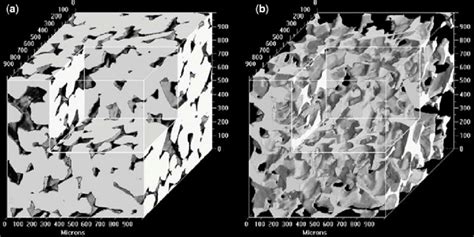 A D Reconstruction Of A Porosity Sample Of Fontainebleau Sandstone