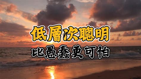 比愚蠢更可怕的，是低層次聰明 Youtube