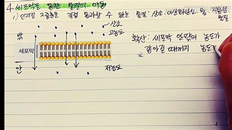 고1 통합과학 생명시스템 확산과 삼투삼투실험 포함 Youtube