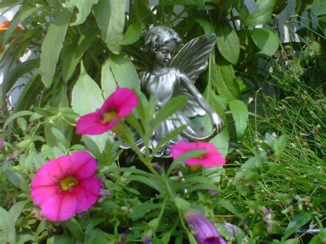 Lovely Manors Garden and Gift Center: Fabulous Fairy Gardens and Delightful Dish Gardens