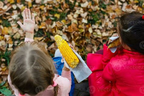 Little Girls Eating Messy Corn On The Cob 26463300 Stock Photo At Vecteezy