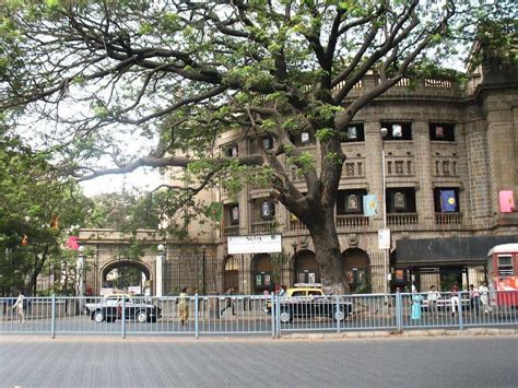 National gallery of Modern Art Mumbai | Entry Fee, Timings