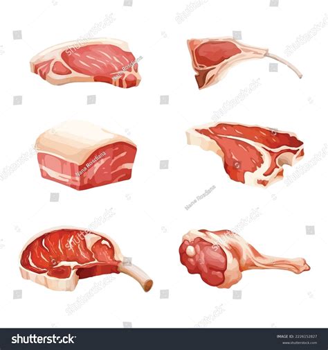 Fresh Raw Meat Vector Illustration Stock Vector (Royalty Free ...