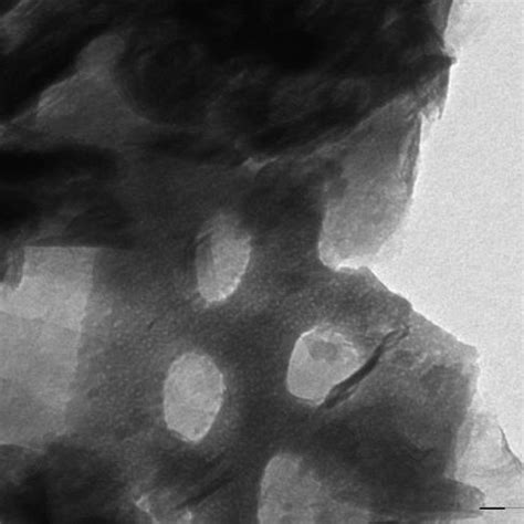 TEM of diatomite show arrangement and details of the porous structure ...