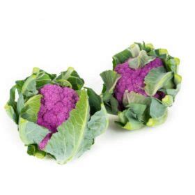 Semillas De Coliflor Lila Lavender F Sem Semiller A San Alfonso