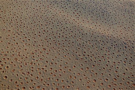 Mysterious Fairy Circles Discovered In Australian Outback Mashable