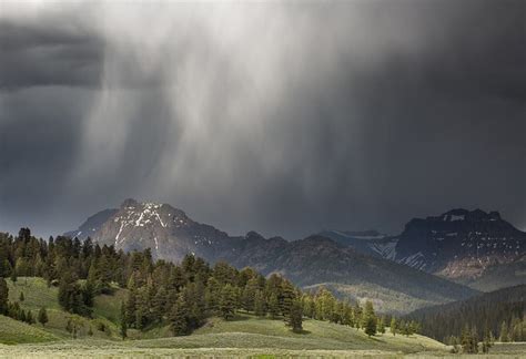 Photographing in the Rain: 8 Things to Photograph on Rainy Days