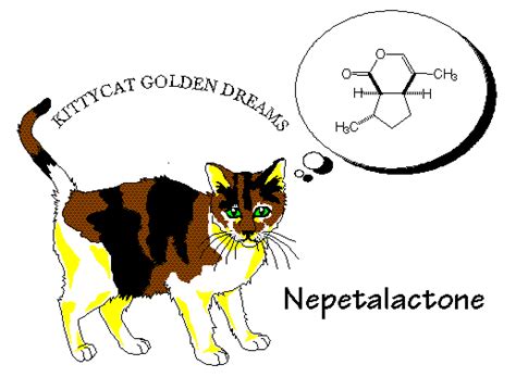 Nepetalactone