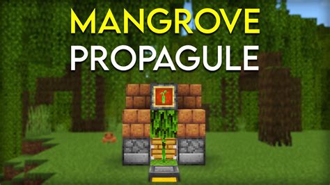 Automatic Mangrove Propagule Farm In Minecraft Bedrock 1 19 Youtube