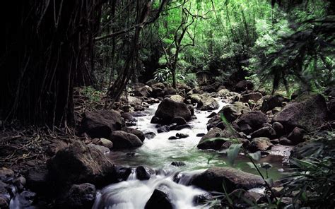 Flowing Water Power In Nature Land Blurred Motion Flowing Nature