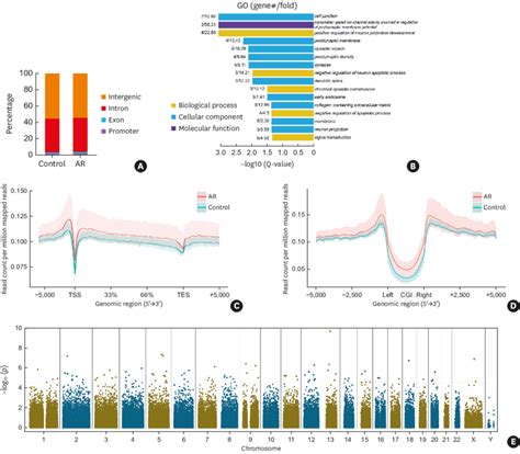 Epigenome Wide 5hmC Distribution And DhMR In CD4 T Cells Of AR