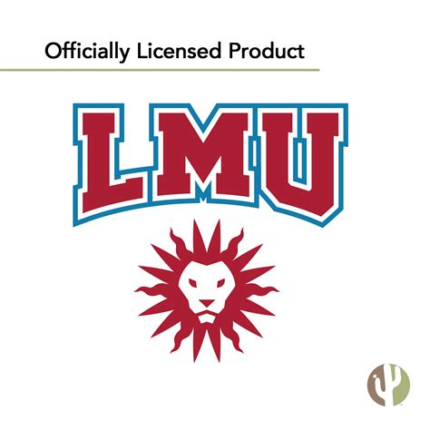 Extensions are likely for the application deadline for loyola marymount 2