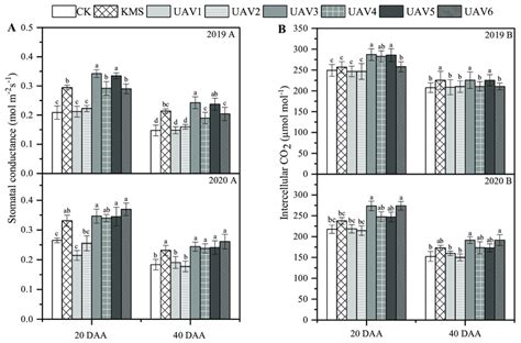 Effect Of HBL And Different SV On Stomatal Conductance And