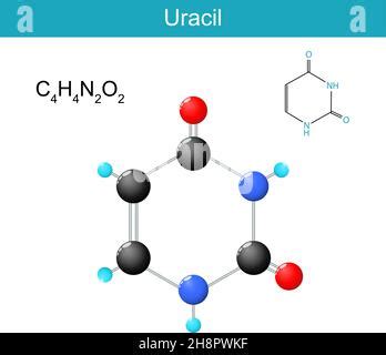 Proteína Fórmula química estructural y modelo molecular Fórmula