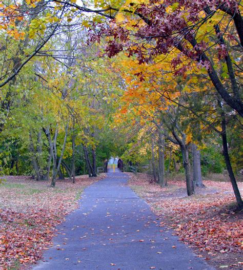 Autumn Bike Trail by RealityIntolerant on DeviantArt