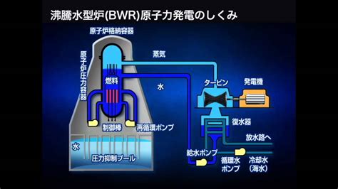 沸騰水型炉（bwr）原子力発電のしくみ Youtube