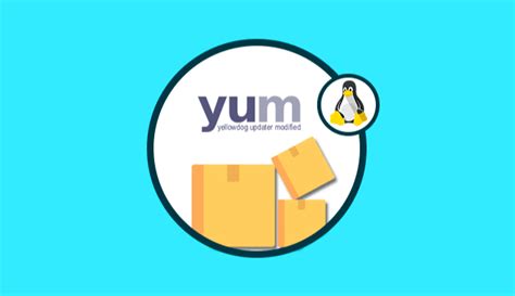 How To Install Package Groups Using Yum On Linux Linuxhaxor