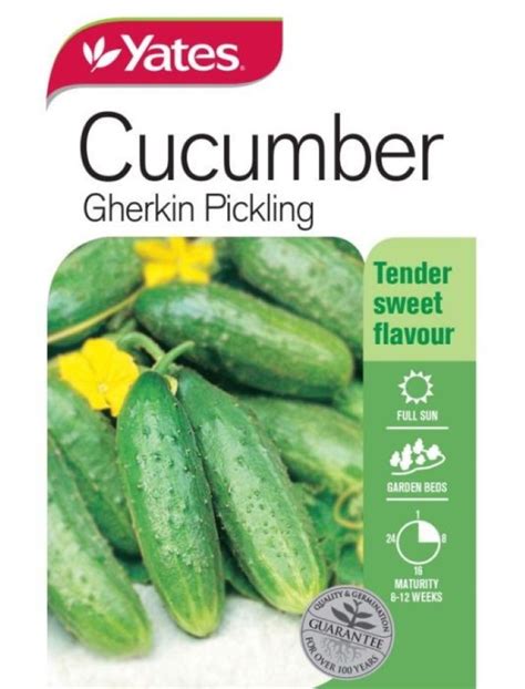 Cucumber Gherkin Pickling Garden Seeds Yates Australia