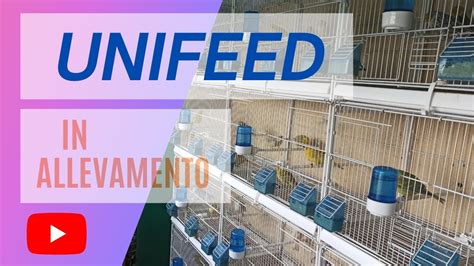 Unifeed In Allevamento Vediamo Insieme Come Sta Andando Youtube