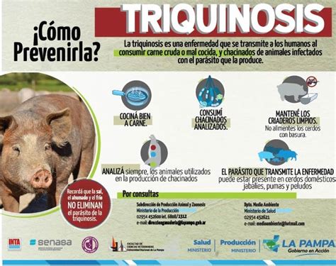 Detectan Nuevos Casos De Triquinosis En La Pampa Castex Al D A