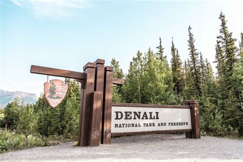 Denali: Denali National Park Walking Tour