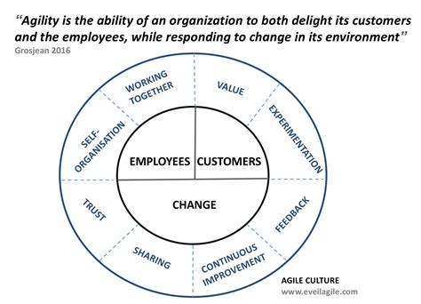 Culture Agile Et Agilité