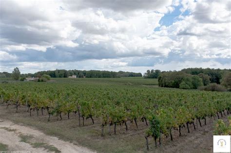 Saint Gen S De Fronsac Un Village De Gironde Au C Ur Des Vignes Les